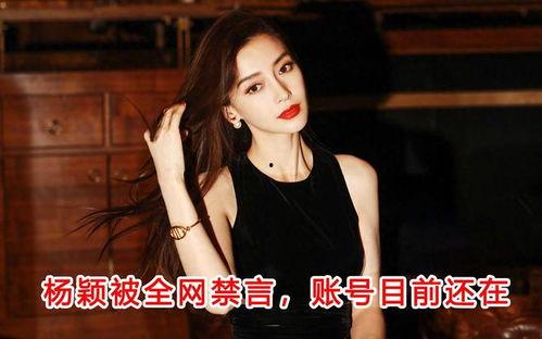 杨颖最新杂志消息爆料,时尚转型与生活态度大公开