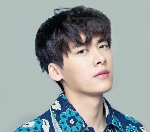 李易峰何炅最新爆料,揭秘娱乐圈幕后故事